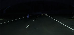 야간운전 헤드라이트 성능 얼마나 중요한가...美 IIHS 연구 결과는?